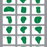 golf pin placement cards